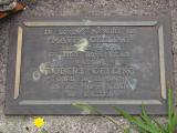 image of grave number 205981